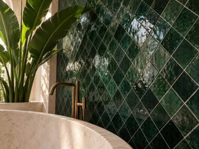 Bottle-green zellige laid on the diagonal, brass tap and plant