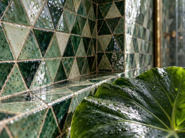 Green zellige triangles on a ledge, alocasia leaf