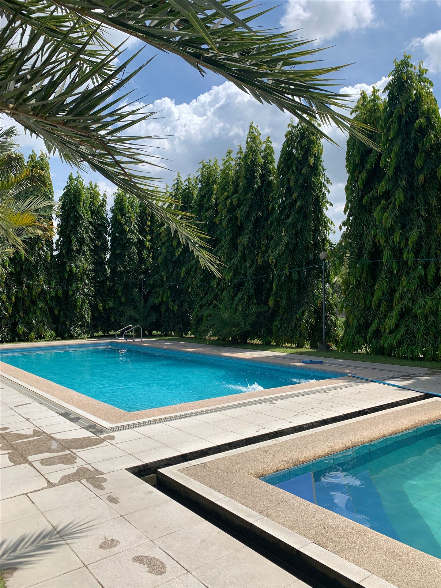 Pool surrounded by a garden and a deck