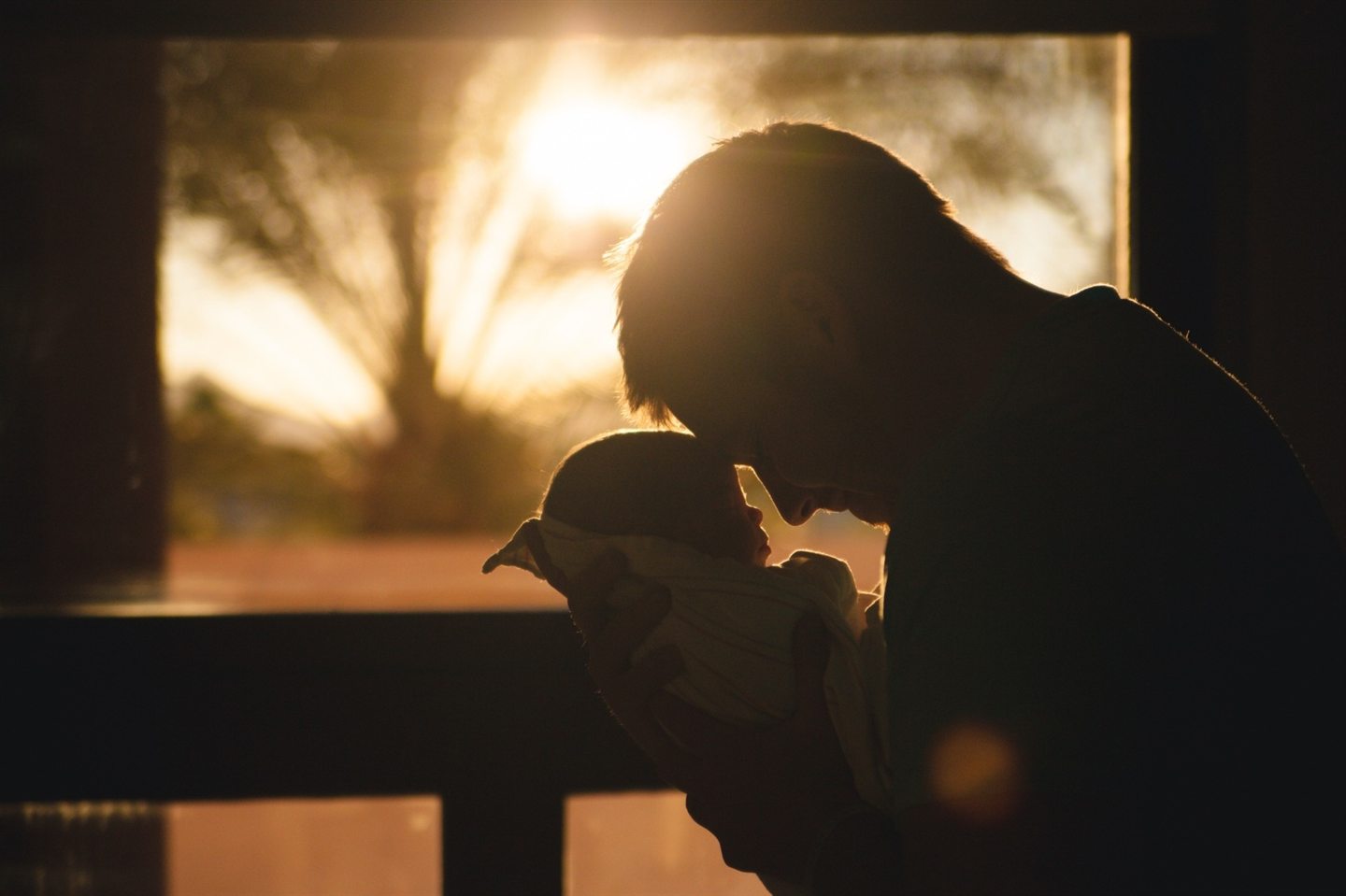 Silhouette near a window bathed in warm light